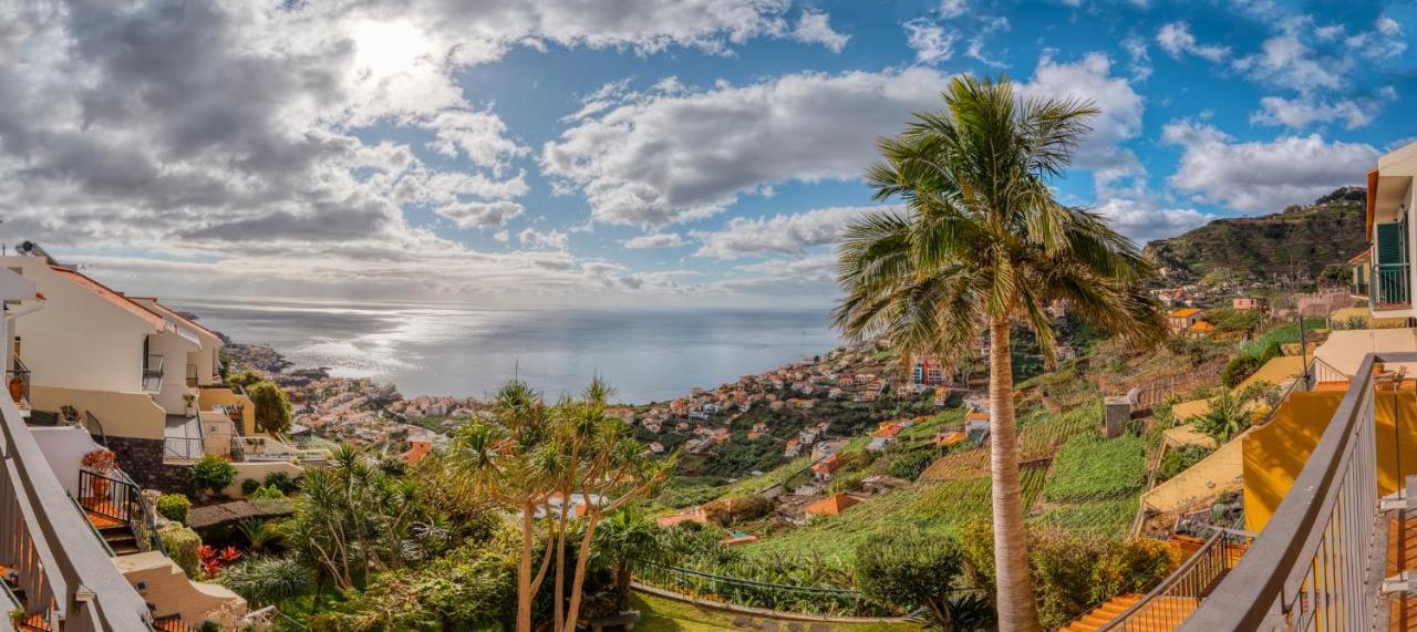 Palm Tree House By Amazing Madeira Villa Câmara de Lobos Dış mekan fotoğraf